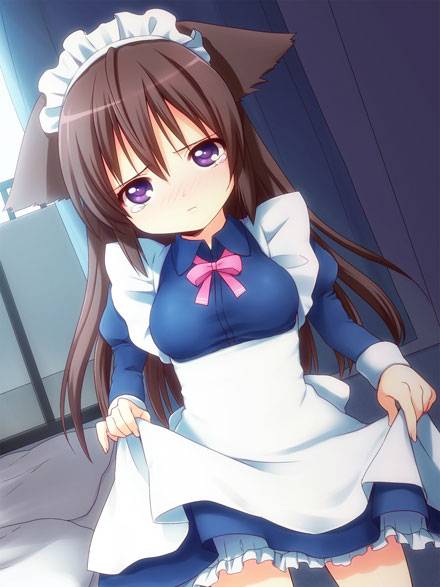 二次元兽耳美少女第十一弹(图3)