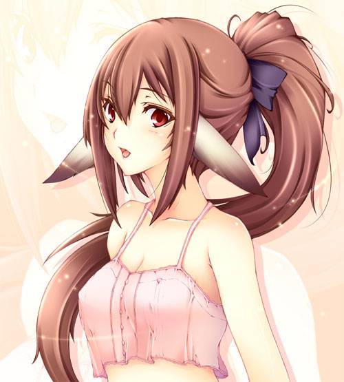 二次元兽耳美少女第十一弹(图6)