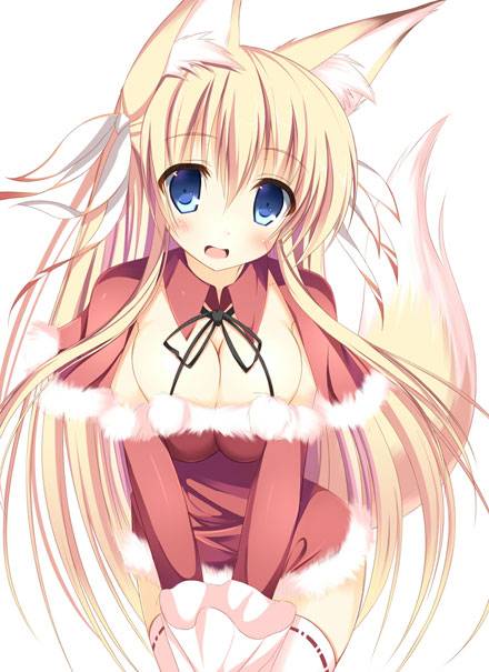 二次元兽耳美少女第十一弹(图13)
