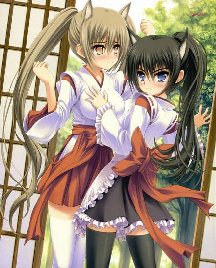 二次元兽耳美少女第十一弹(图14)