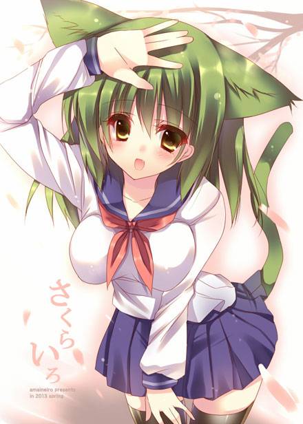 二次元兽耳美少女第十弹(图5)