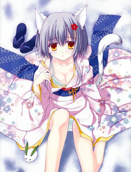 二次元兽耳美少女第十弹(图9)