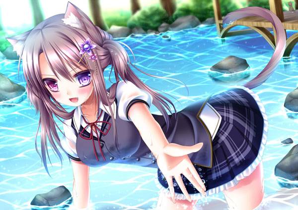 二次元兽耳美少女第十弹(图12)