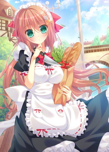 二次元女仆装美少女图集(图6)