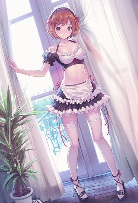 二次元女仆图片(图1)