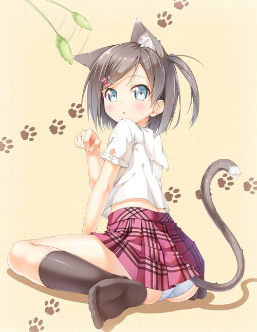 二次元猫耳娘福利图片析(图2)