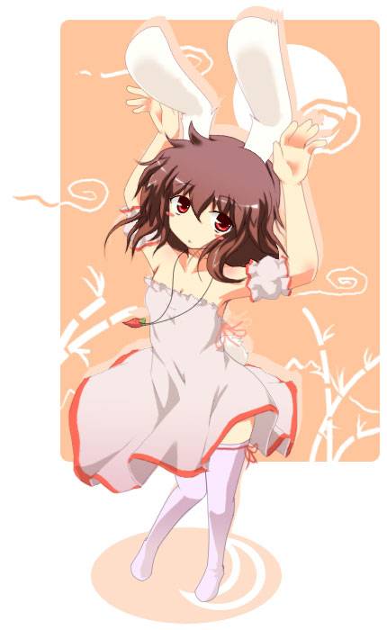 妖怪兔因幡帝图片(图12)