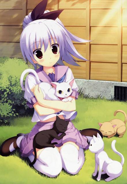 二次元白丝美少女福利图(图2)