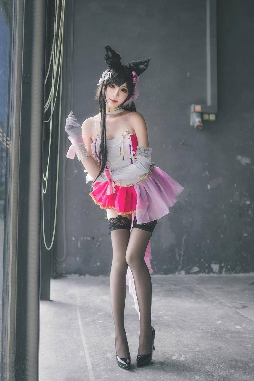 爱宕 （犬） Cn：一只冉呐 御姐(图1)