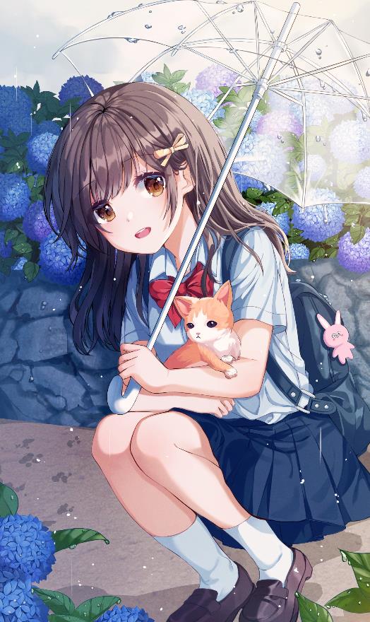 [Pixiv精选]雨天的缤纷花朵。紫阳花插画特辑(图5)