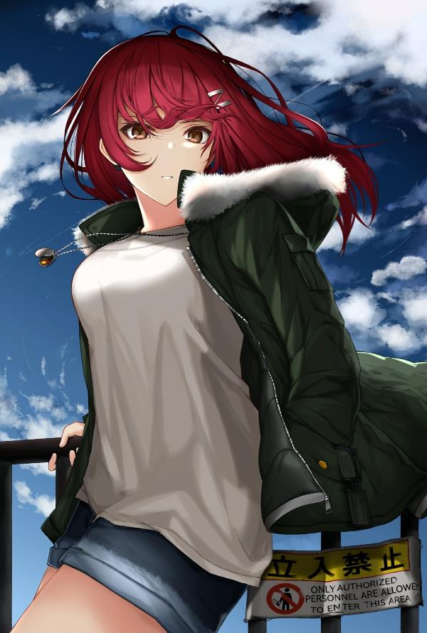 [Pixiv精选]热情的颜色。红发女子插画特辑(图6)
