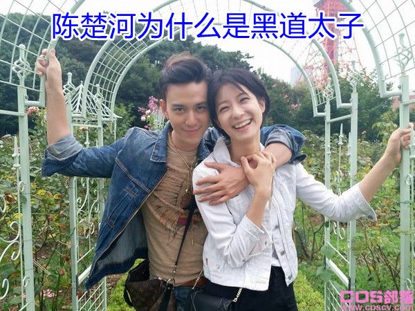 陈楚河为什么是黑道太子 陈楚河现任女友赖雅妍照片(图1)