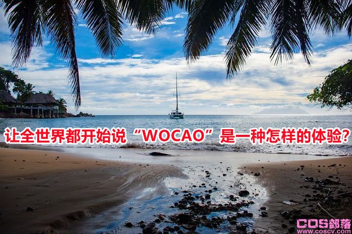 让全世界都开始说“WOCAO”是一种怎样的体验？(图1)