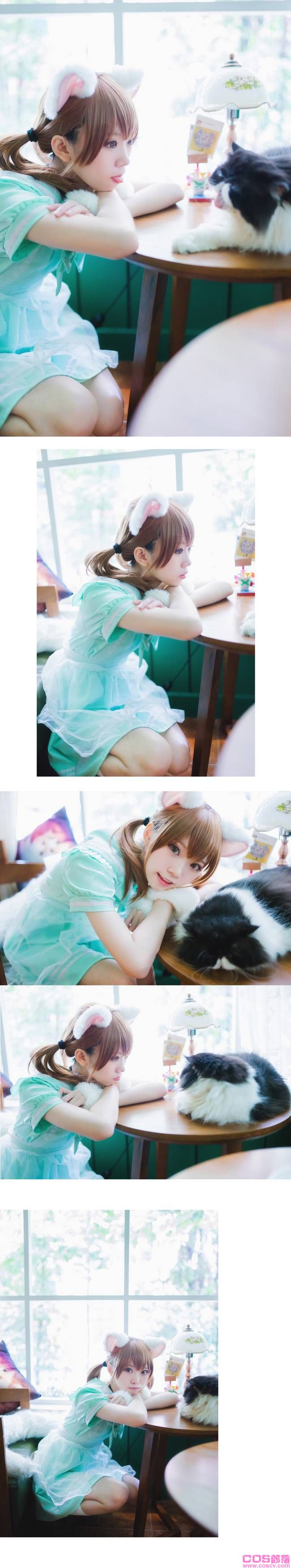 白猫 Cn:Kitaro_绮太郎(图4)