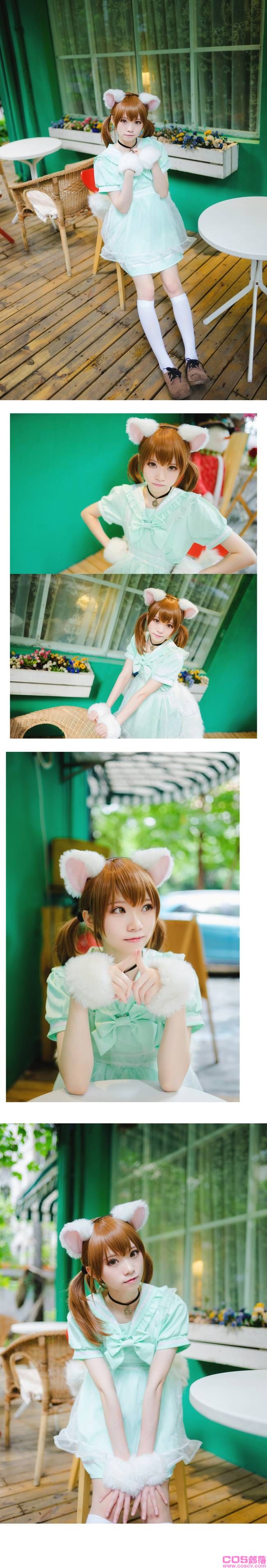 白猫 Cn:Kitaro_绮太郎(图7)