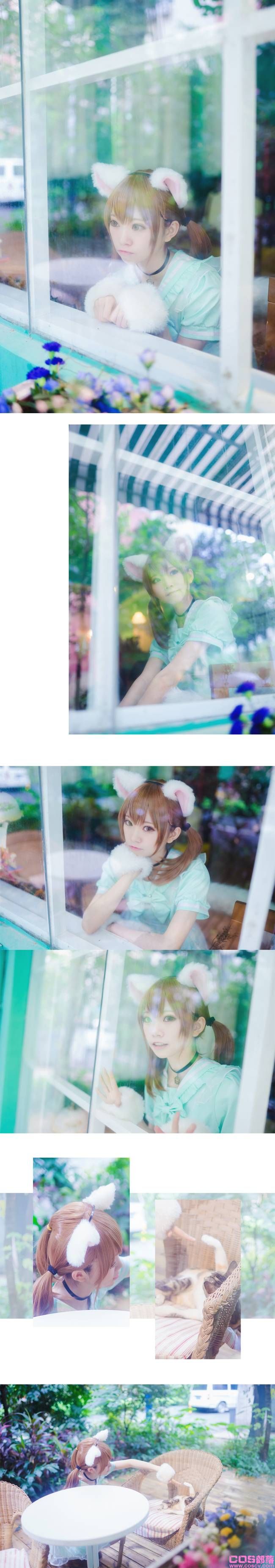 白猫 Cn:Kitaro_绮太郎(图3)