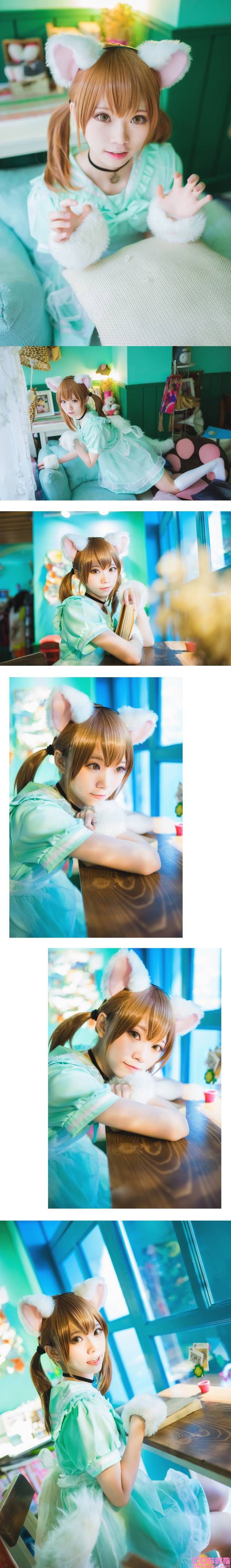 白猫 Cn:Kitaro_绮太郎(图6)