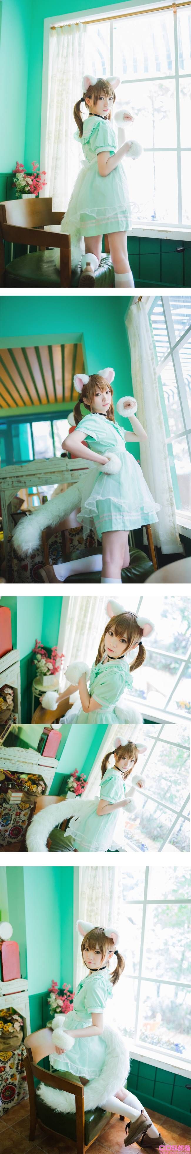 白猫 Cn:Kitaro_绮太郎(图8)