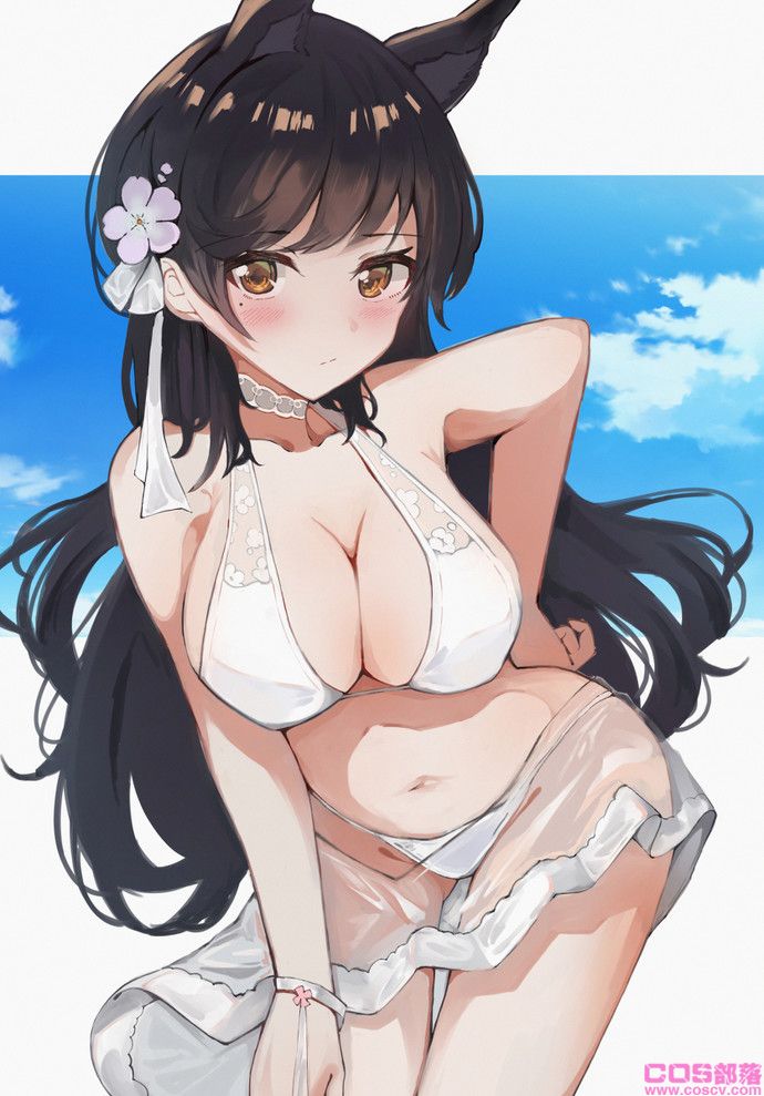 [动漫美图]碧蓝航线爱宕插画图片水着特辑(图2)