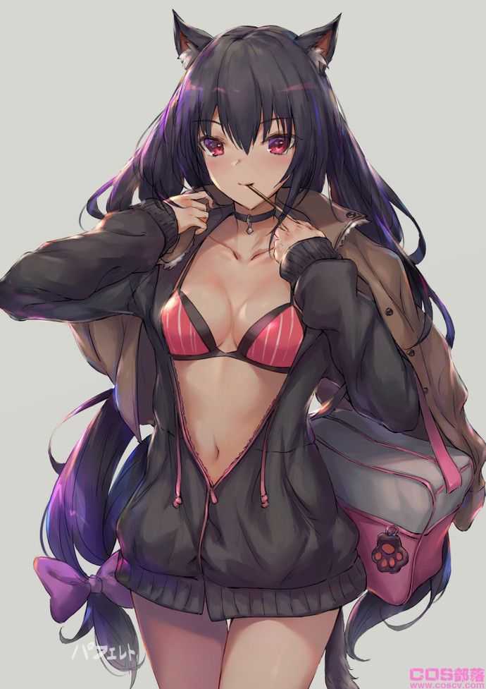 [动漫美图]毛绒绒！兽耳×连帽衫插画特辑(图4)