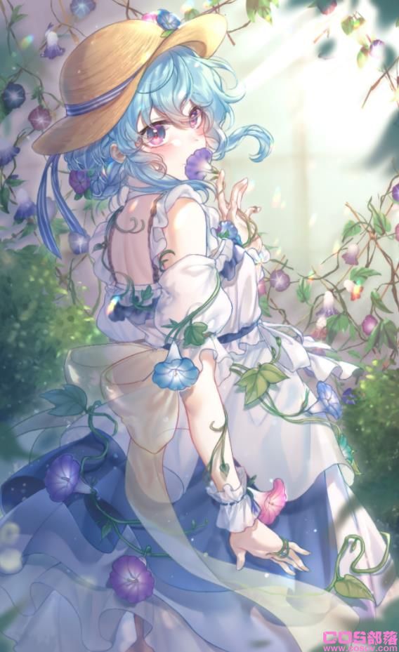 [Pixiv精选]于清晨盛开。牵牛花与女孩插画特辑(图4)