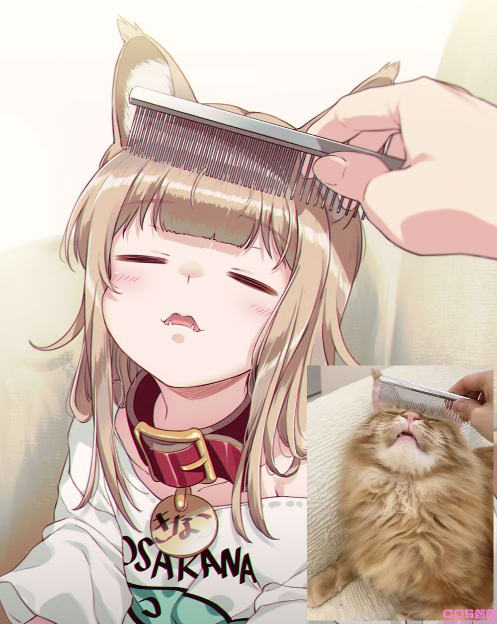 真有此猫！日本插画家40原《将喵星人萝莉化》猫娘就是它的化身！(图3)