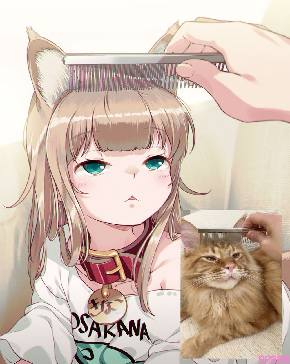 真有此猫！日本插画家40原《将喵星人萝莉化》猫娘就是它的化身！(图4)