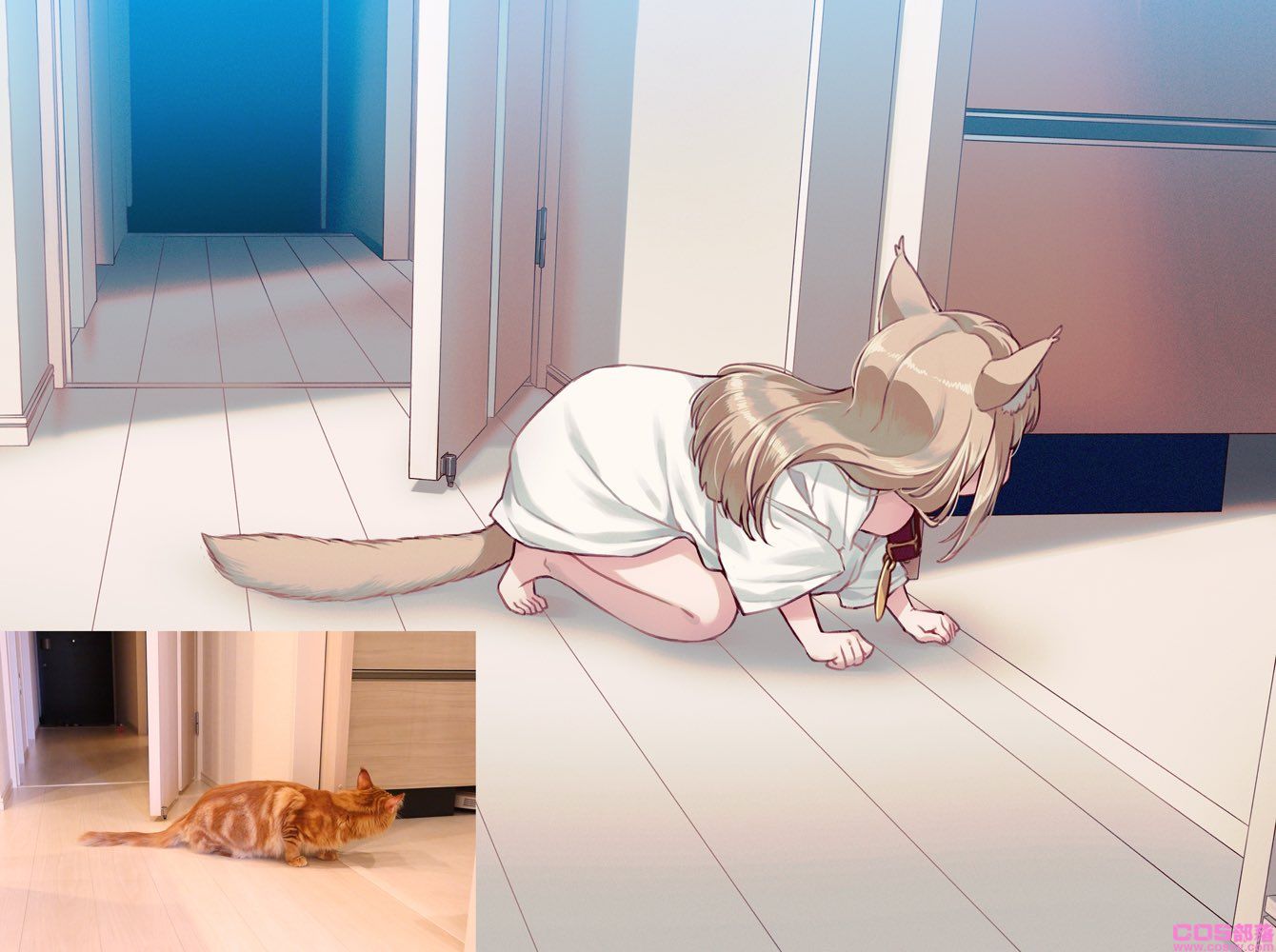 真有此猫！日本插画家40原《将喵星人萝莉化》猫娘就是它的化身！(图5)