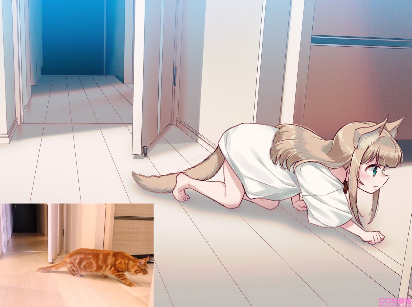 真有此猫！日本插画家40原《将喵星人萝莉化》猫娘就是它的化身！(图6)