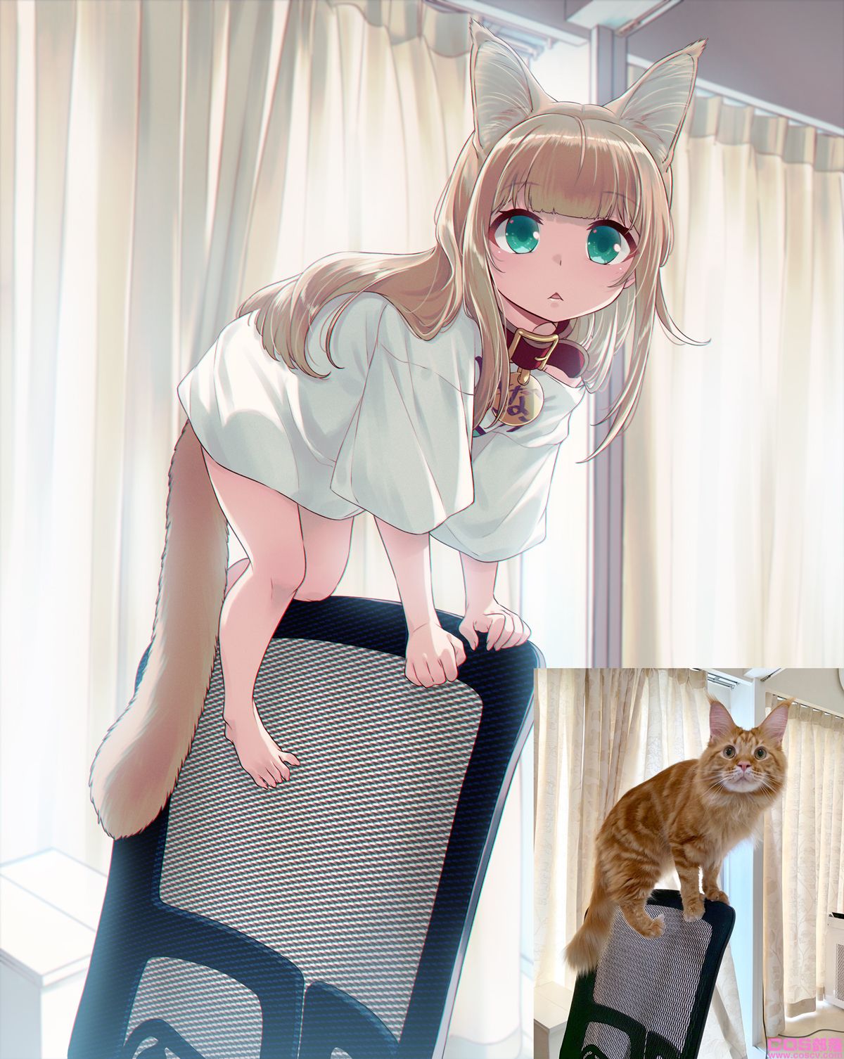 真有此猫！日本插画家40原《将喵星人萝莉化》猫娘就是它的化身！(图11)