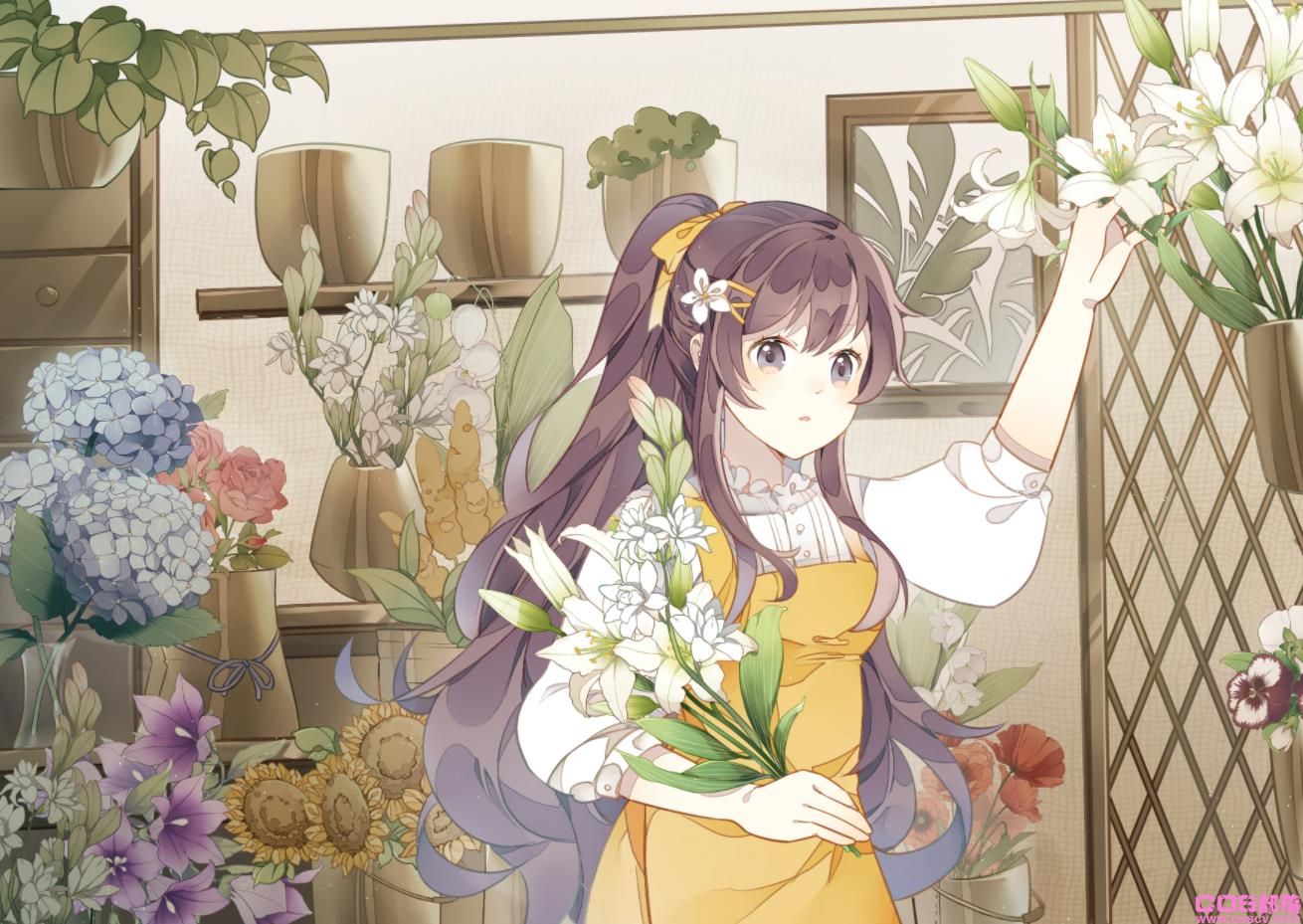 [Pixiv精选]城中花园。花店插画特辑(图7)