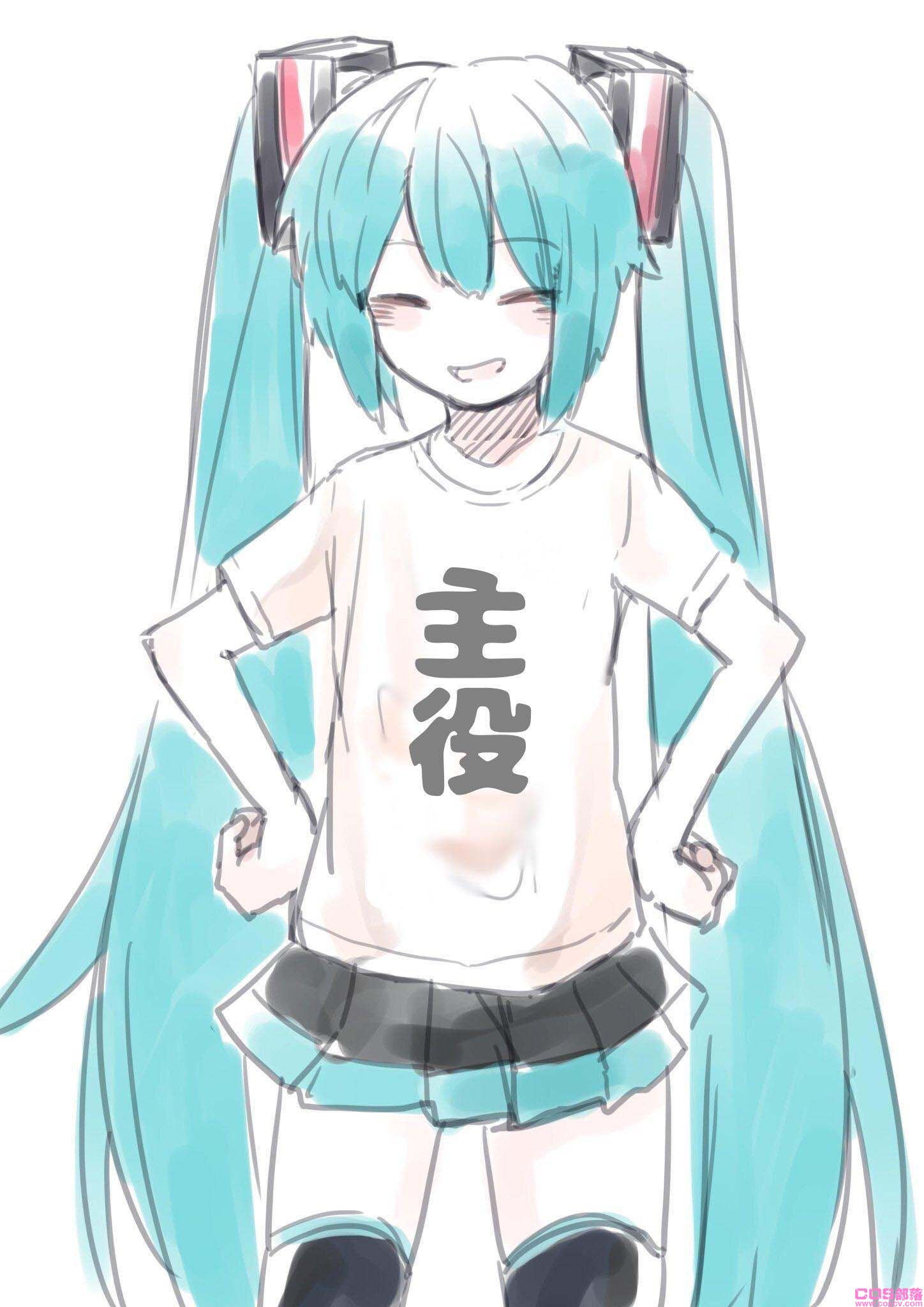 妙龄14岁-830初音未来生日祭贺图(图3)
