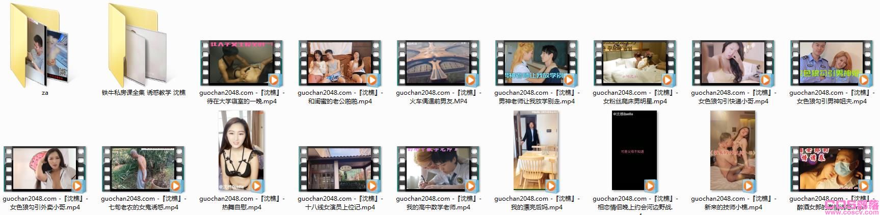 网红沈樵事件因拍摄几十部淫秽视频，被刑拘，自导自演亲力亲为【7.85G】(图27)