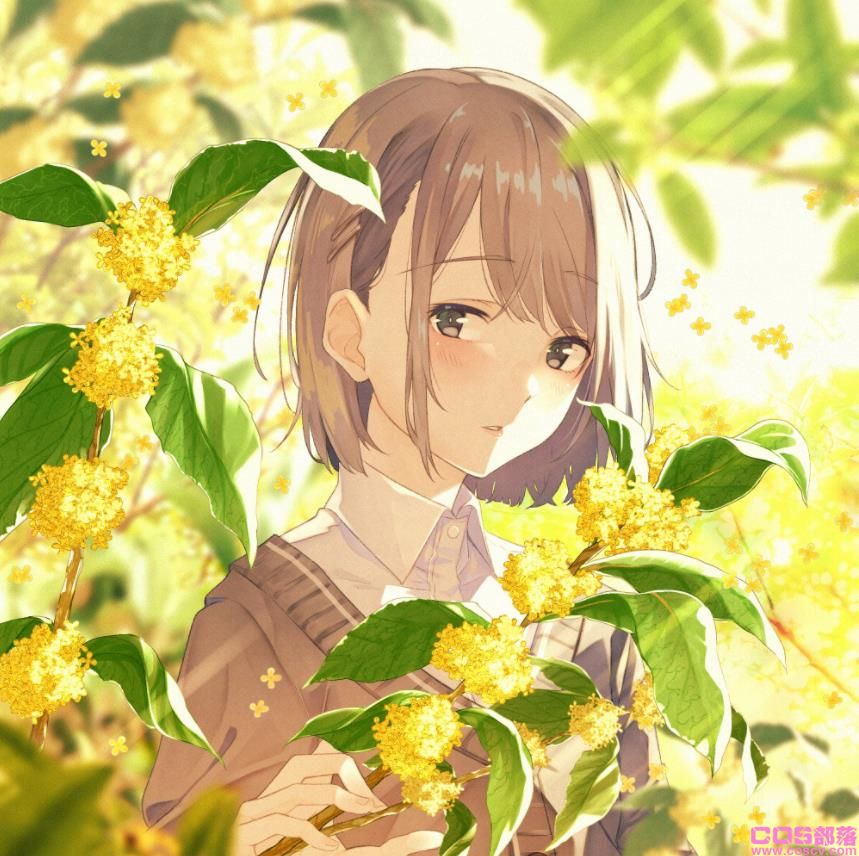 [Pixiv精选]甘甜芬芳。桂花插画特辑(图2)