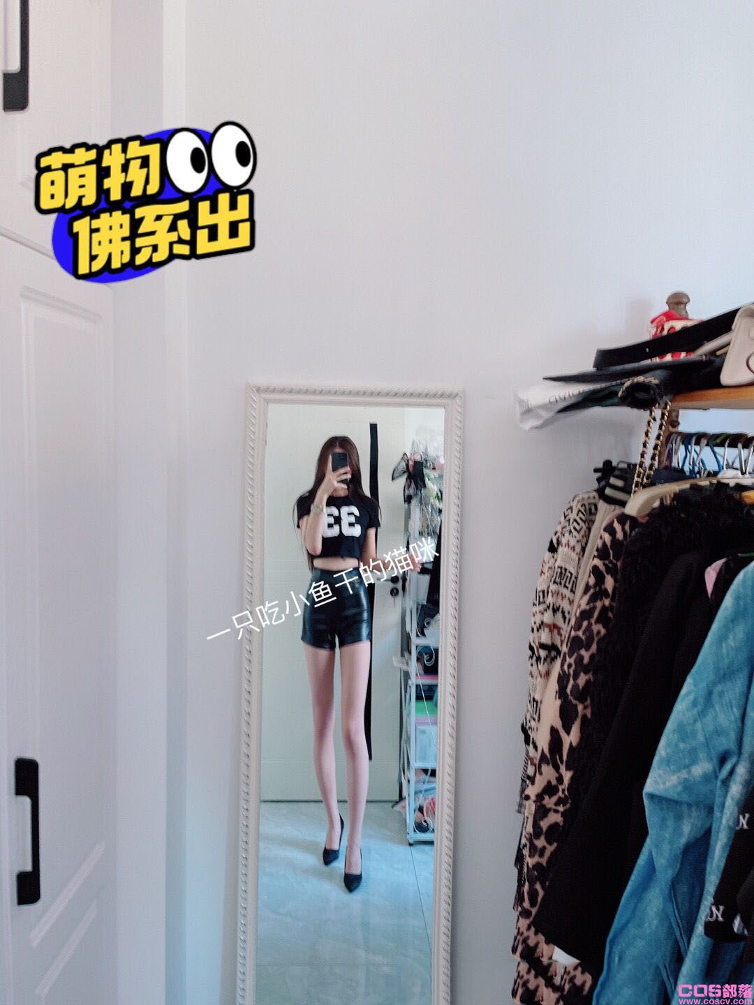 纯棉短袖(图2)