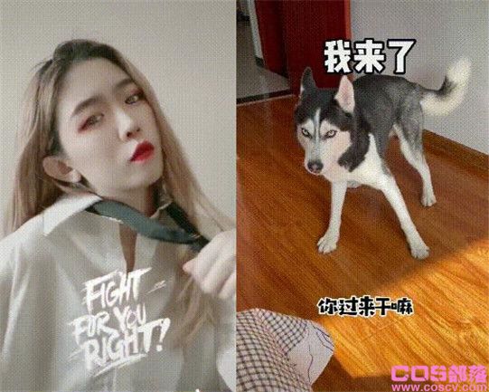 可鲁可鸭是什么意思？ 可鲁可鸭主人喵可酱照片(图1)