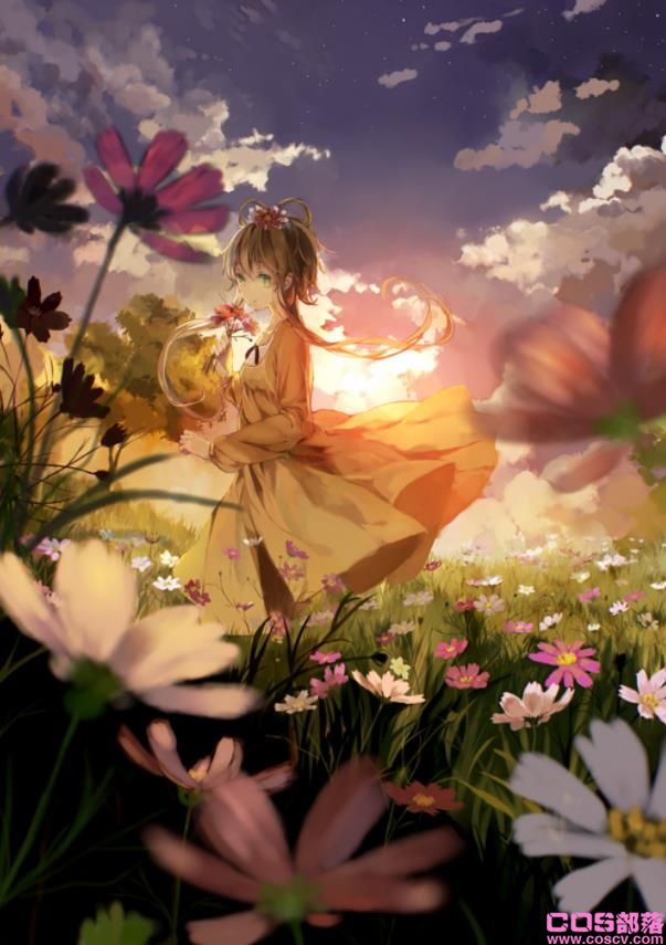 [Pixiv精选]花语是「少女的真心」。大波斯菊插画特辑(图3)