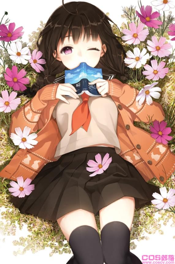 [Pixiv精选]花语是「少女的真心」。大波斯菊插画特辑(图1)
