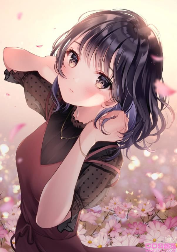 [Pixiv精选]花语是「少女的真心」。大波斯菊插画特辑(图4)