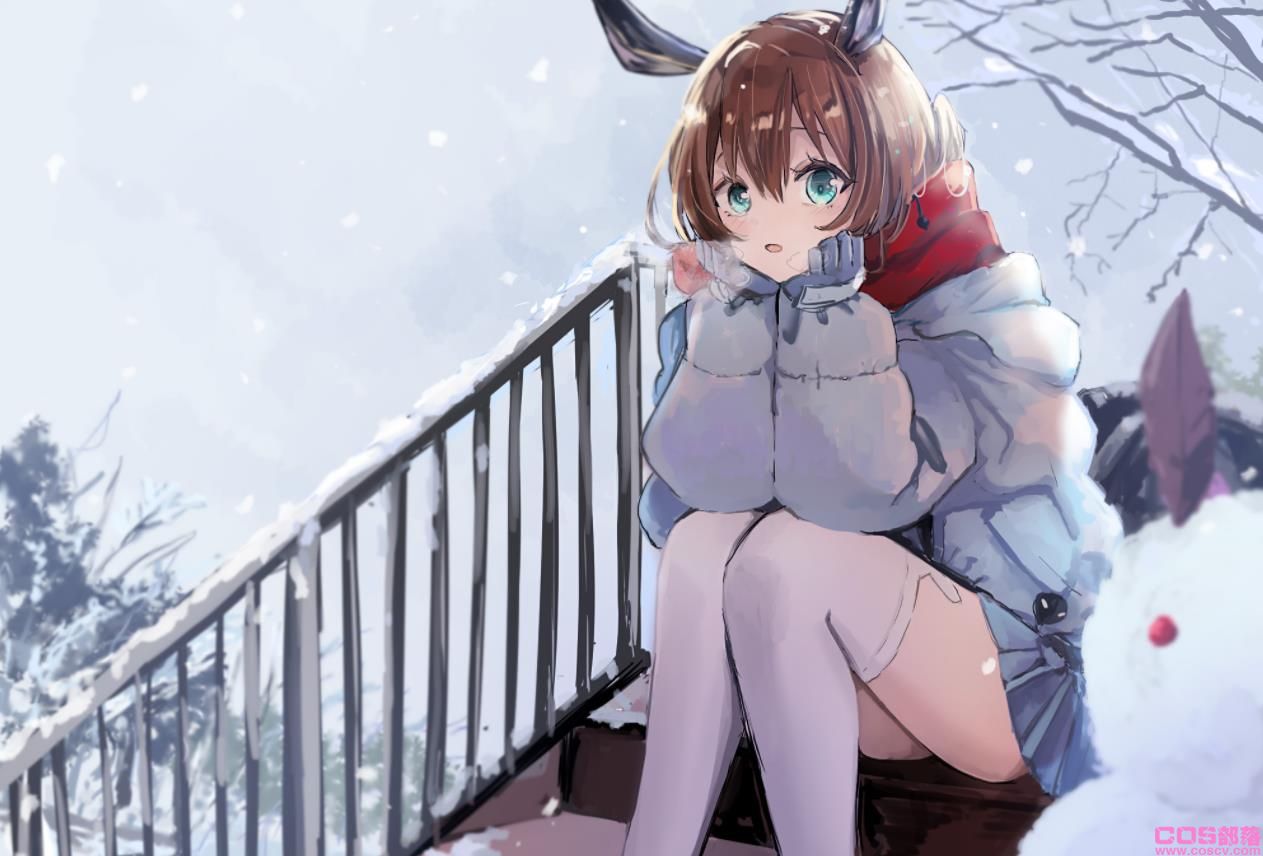 [Pixiv精选]悄然无声的纯白世界。雪景插画特辑(图6)