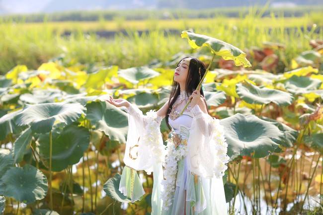 天涯明月刀ol 心王陌上花cosplay n:鹿爷A-Li(图14)
