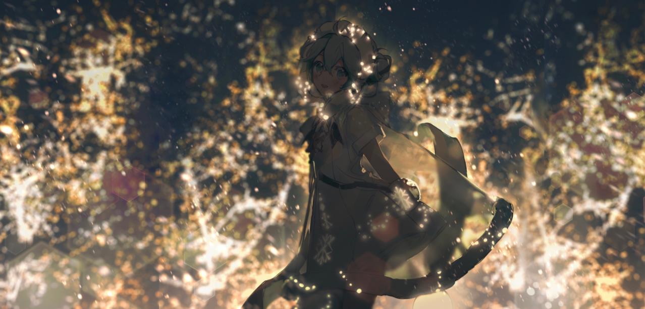 [Pixiv精选] 冬季夜晚的亮点之一！彩灯插画特辑(图11)