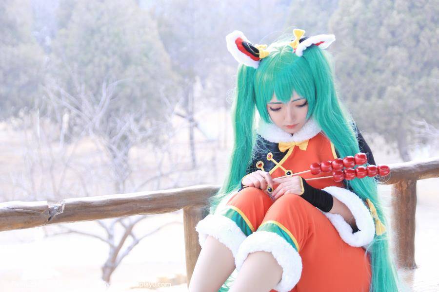 兽耳萝莉双马尾扮演VOCALOID初音未来Coser(图7)