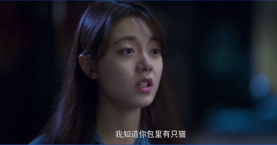 卡农警告是什么意思？出自《开端》具体怎么回事？(图1)