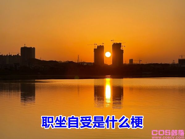 职坐自受是什么梗 网络用语职坐自受具体什么意思？(图1)