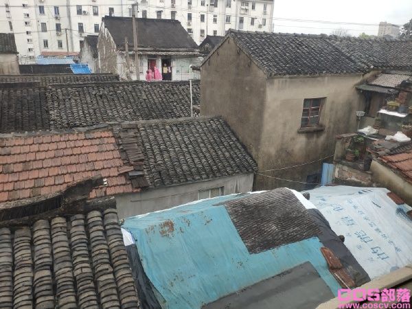 职坐自受是什么梗 网络用语职坐自受具体什么意思？(图3)