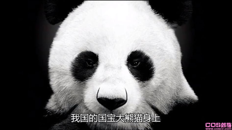 一天排便40次的动物是什么？ 熊猫是不是拉肚子了？(图2)