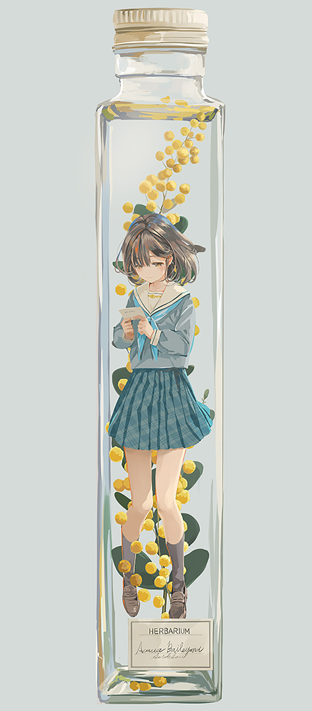 [Pixiv精选] 象征着春天的黄花。黄花含羞草插画特辑(图2)