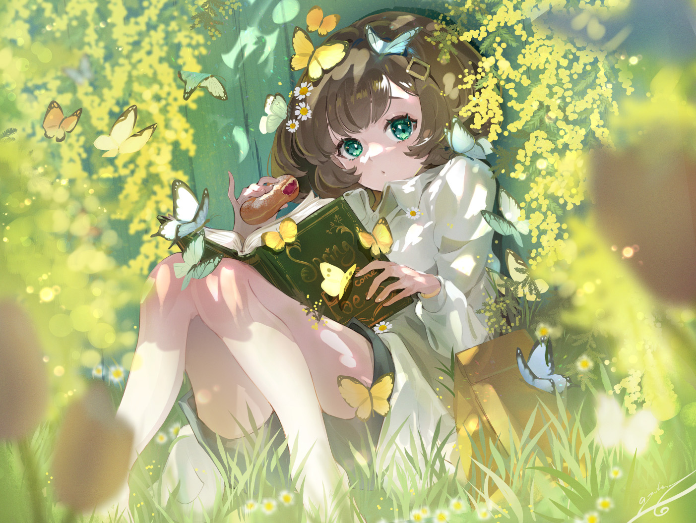 [Pixiv精选] 象征着春天的黄花。黄花含羞草插画特辑(图4)