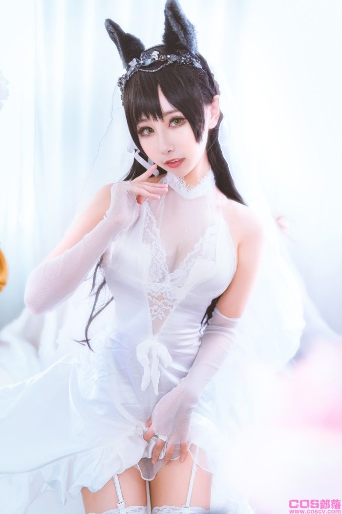 知名动漫博主@Momoko葵葵 爱宕【26P/200MB】(图3)
